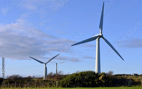 Fototapeta Wind turbine on a field in Anglesey