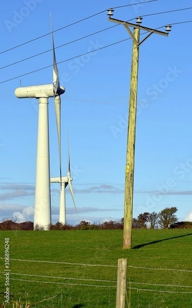 Fototapeta Wind turbine on a field in Anglesey with Pylon