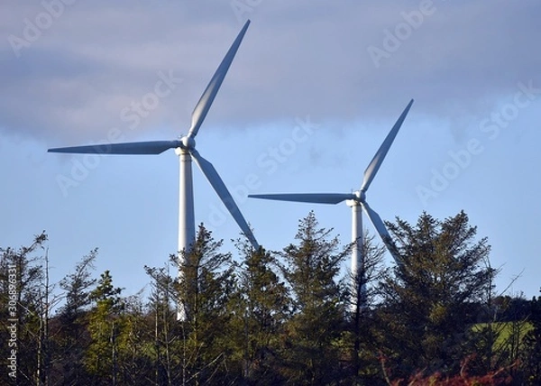 Fototapeta Wind turbine on a field in Anglesey