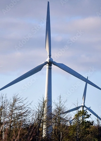 Fototapeta Wind turbine on a field in Anglesey