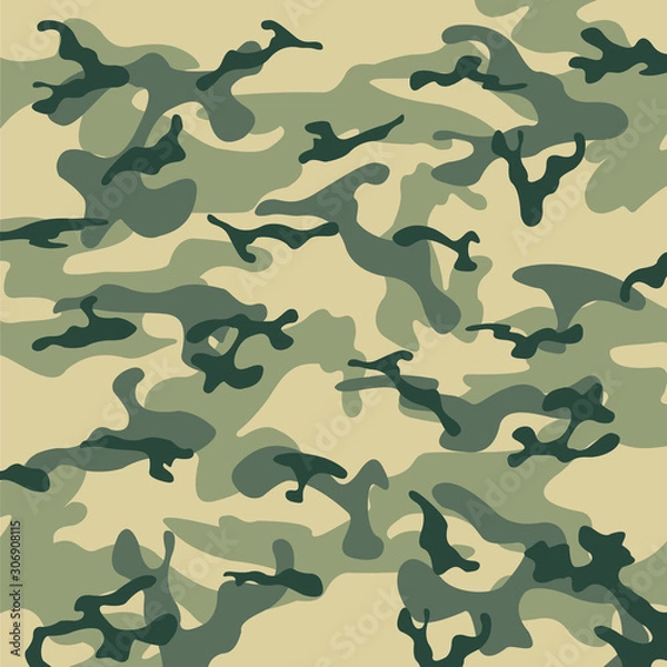Obraz Camouflage Vektor Hintergrund Textur