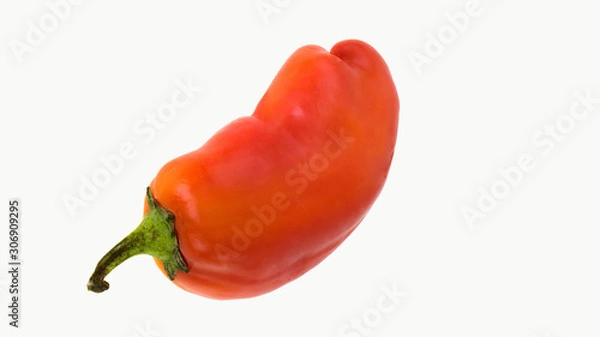Obraz Red pepper on a white background