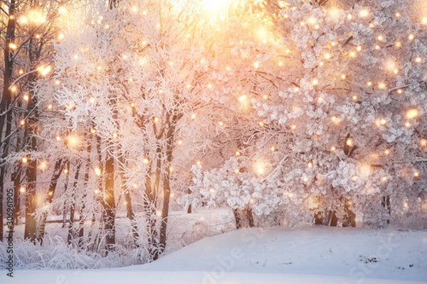 Obraz Scenic christmas background