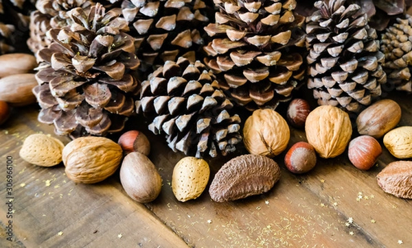 Obraz Christmas concept composition.