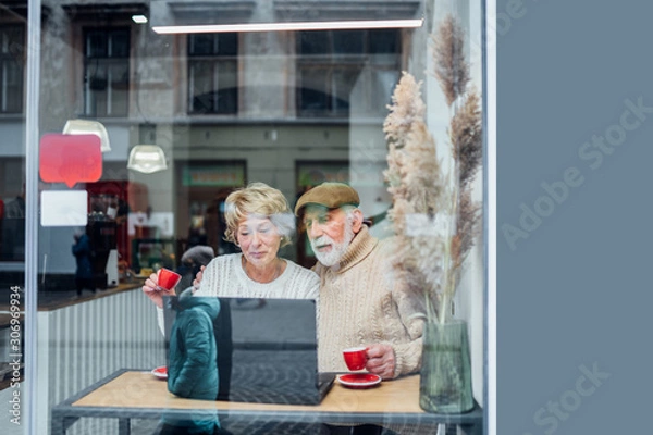 Obraz Modern senior couple surfing on the internet