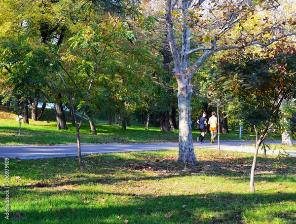 Obraz jogging in park 