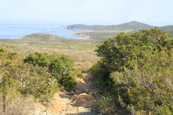 Obraz Sentier des douaniers