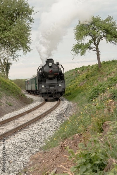 Obraz A steam passenger train arrives