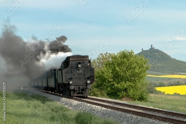 Obraz A steam passenger train arrives