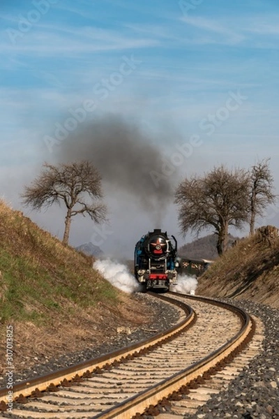 Obraz A steam passenger train arrives 