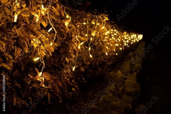 Obraz Christmas lights shining in the middle of the night...