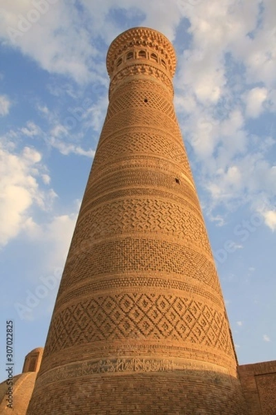 Fototapeta ブハラのカラーン・ミナレット