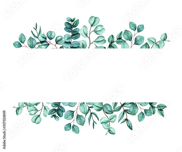 Fototapeta Watercolor hand painted card with green eucalyptus leaves banner. Healing Herbs for cards, wedding invitation, posters, save the date or greeting design isolated on white background.
