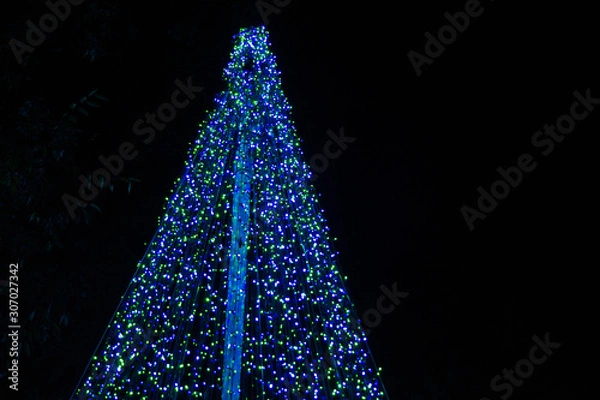 Obraz christmas tree on black background