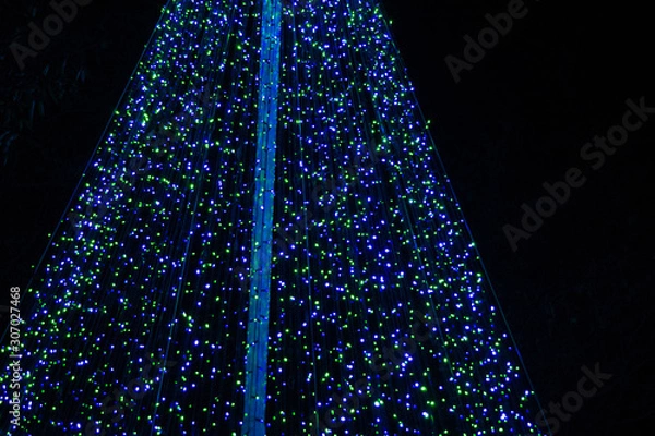 Obraz christmas tree with lights