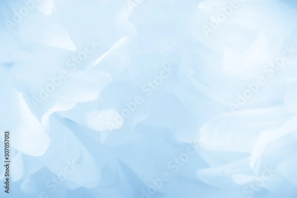 Fototapeta Beautiful abstract color blue and white flowers background and blue flower frame and pink and blue leaves texture background, blue background