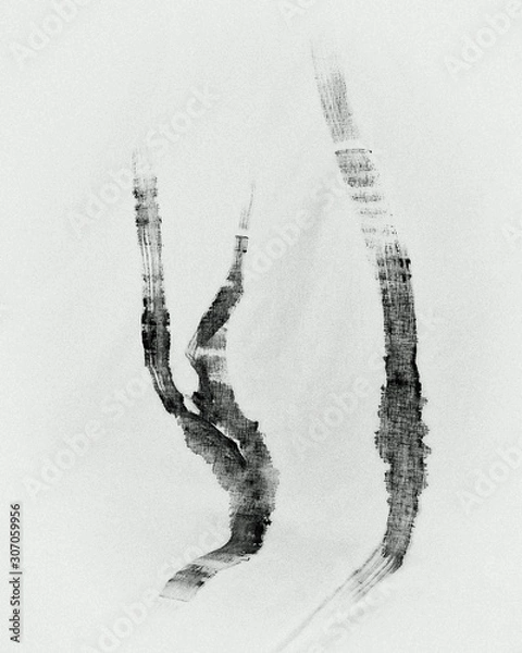 Obraz Black and white tree