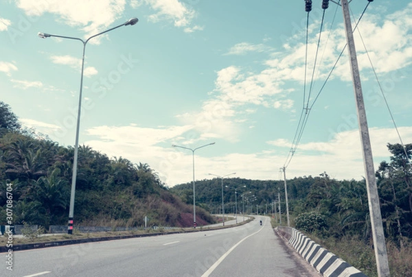 Obraz road and trees
