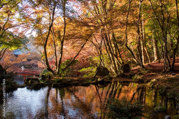 Obraz 昼間の醍醐寺・弁天堂