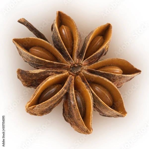 Obraz Badiane, anis étoilé