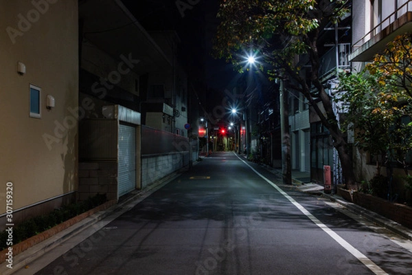 Fototapeta 【東京都台東区】夜の街の道路