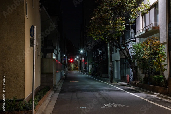 Obraz 【東京都台東区】夜の街の道路
