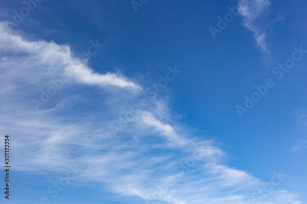 Fototapeta 筋雲広がる空