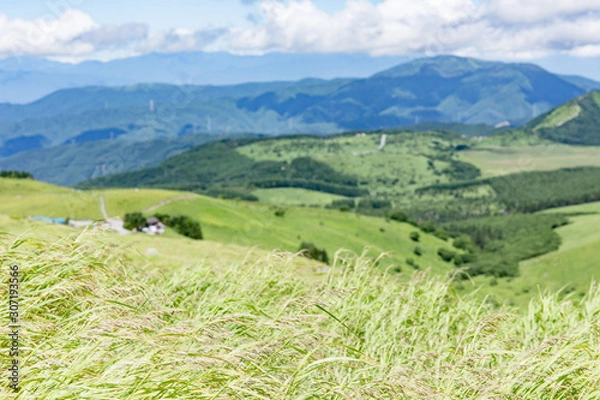 Fototapeta 高原の風景