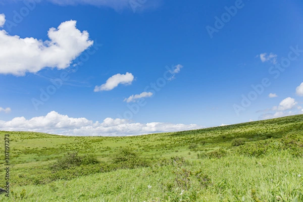 Fototapeta 高原の風景