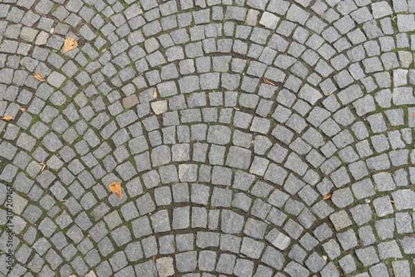 Fototapeta Paving stone square fan. Gray stone pavement and footpath in the fall with fallen leaves. European smooth cobblestone.