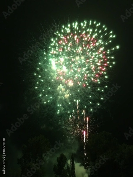 Obraz Feu d'artifice