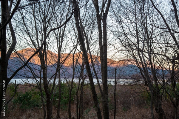 Obraz 林の中から望む湖