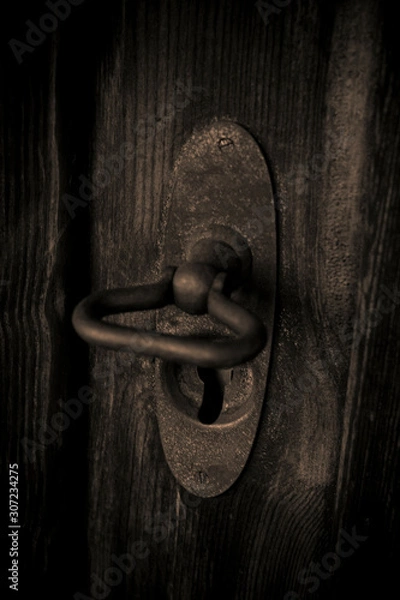 Obraz Front door lock