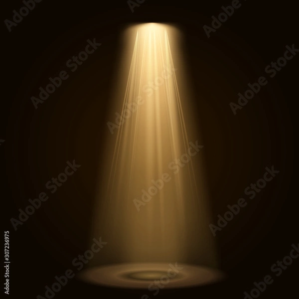 Obraz Spotlight isolated on black background. Vector glowing light effect with gold rays and beams