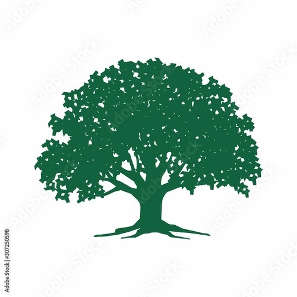 Fototapeta Leaf and tree logo design template vector illustration