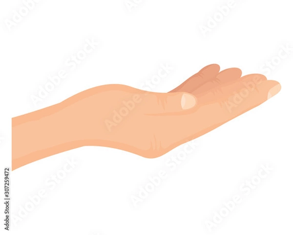 Fototapeta hand human receiving isolated icon