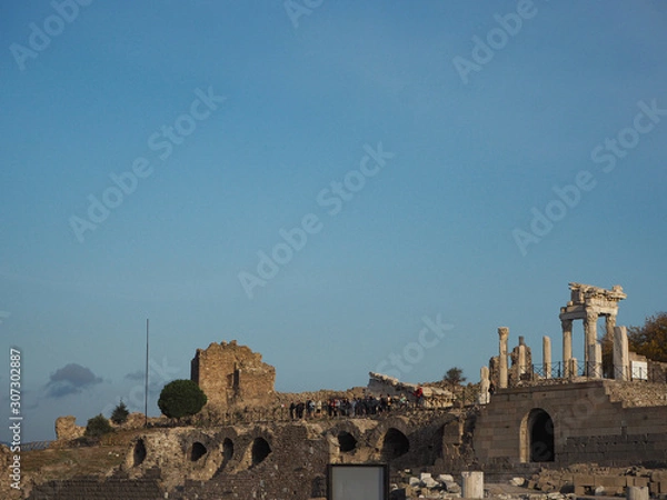 Fototapeta トルコ、トルコ旅行、Turkey、トルコの景色、、犬、仔犬、家族、図書館、パムッカレ、絶景、パラグライダー、図書館、エフェス、エフェス図書館、エフェス遺跡、アクロポリス、木馬、遺跡、