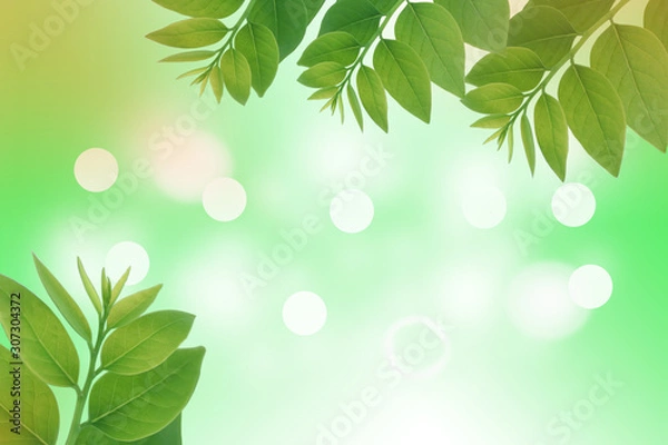 Obraz Green leaves space bokeh background