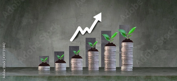 Fototapeta Growing crops in saving coins - investment concepts and interests Business growth