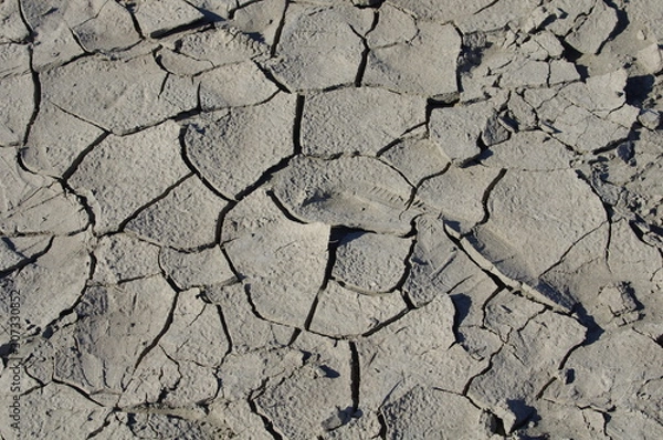 Fototapeta 乾燥した地面