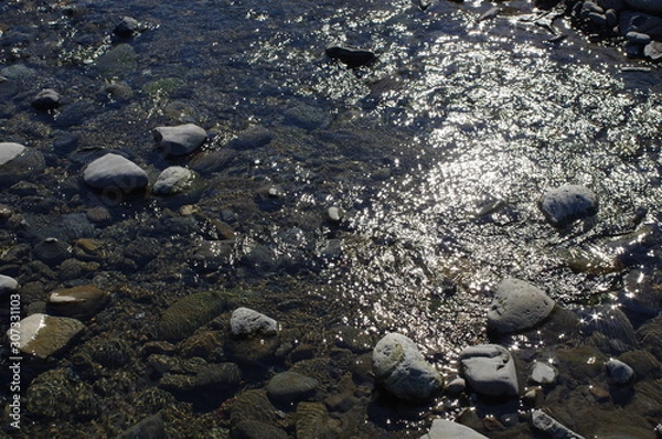 Fototapeta 水面のきらめき