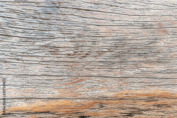 Fototapeta abstract background of wooden plank with a distinct structure close up