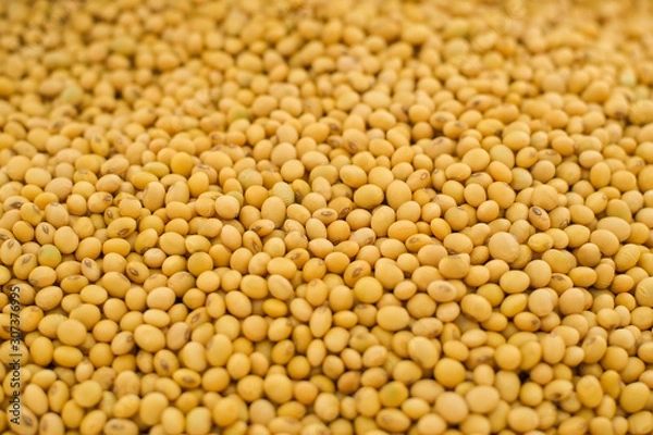 Fototapeta Fresh soybean seeds pattern close-up.
