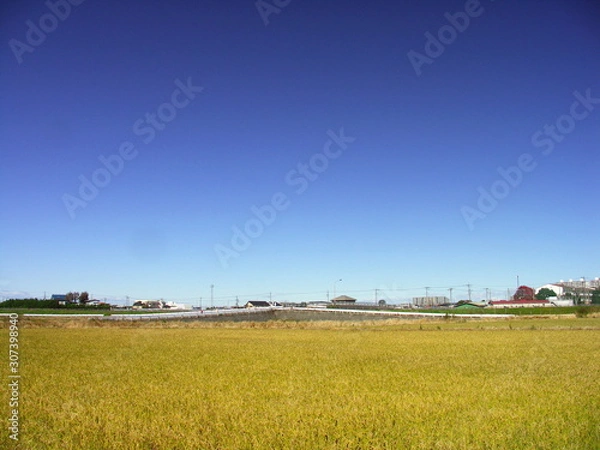 Obraz 冬の田圃と青空風景