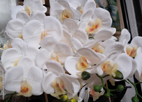 Obraz White flowers with texture 