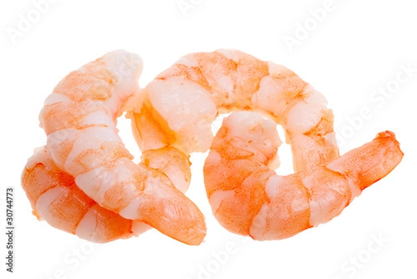 Obraz prepared shrimp isolated
