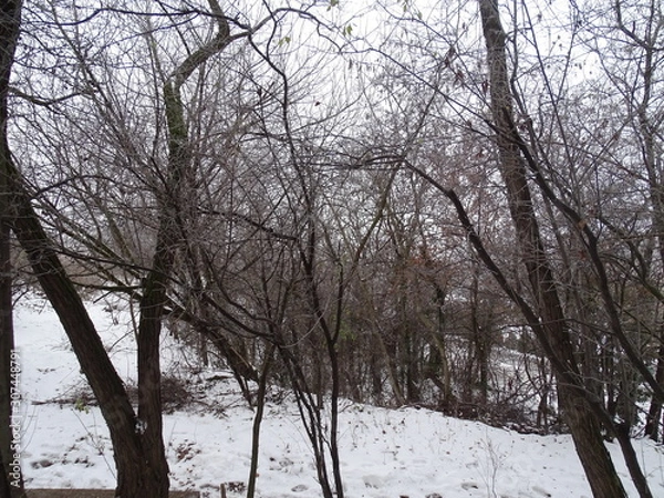 Obraz Winter is coming in Budapest