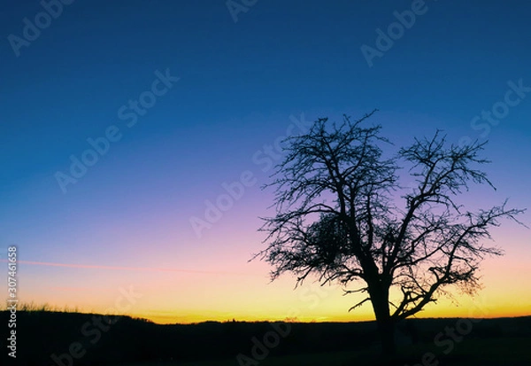 Obraz Stunning sunset