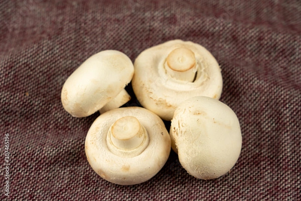 Obraz mushrooms on a cutting board