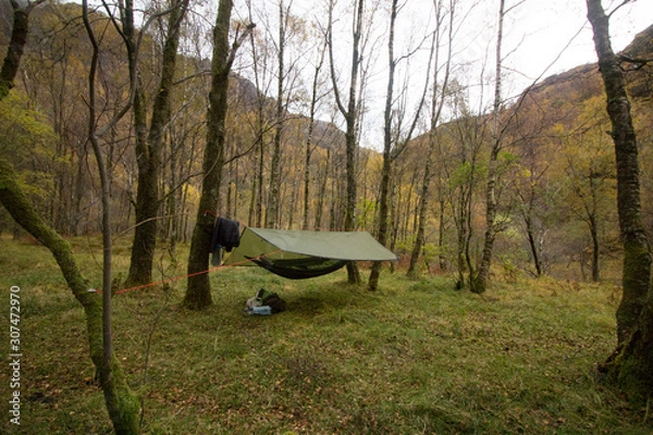 Obraz Hammock camping setup